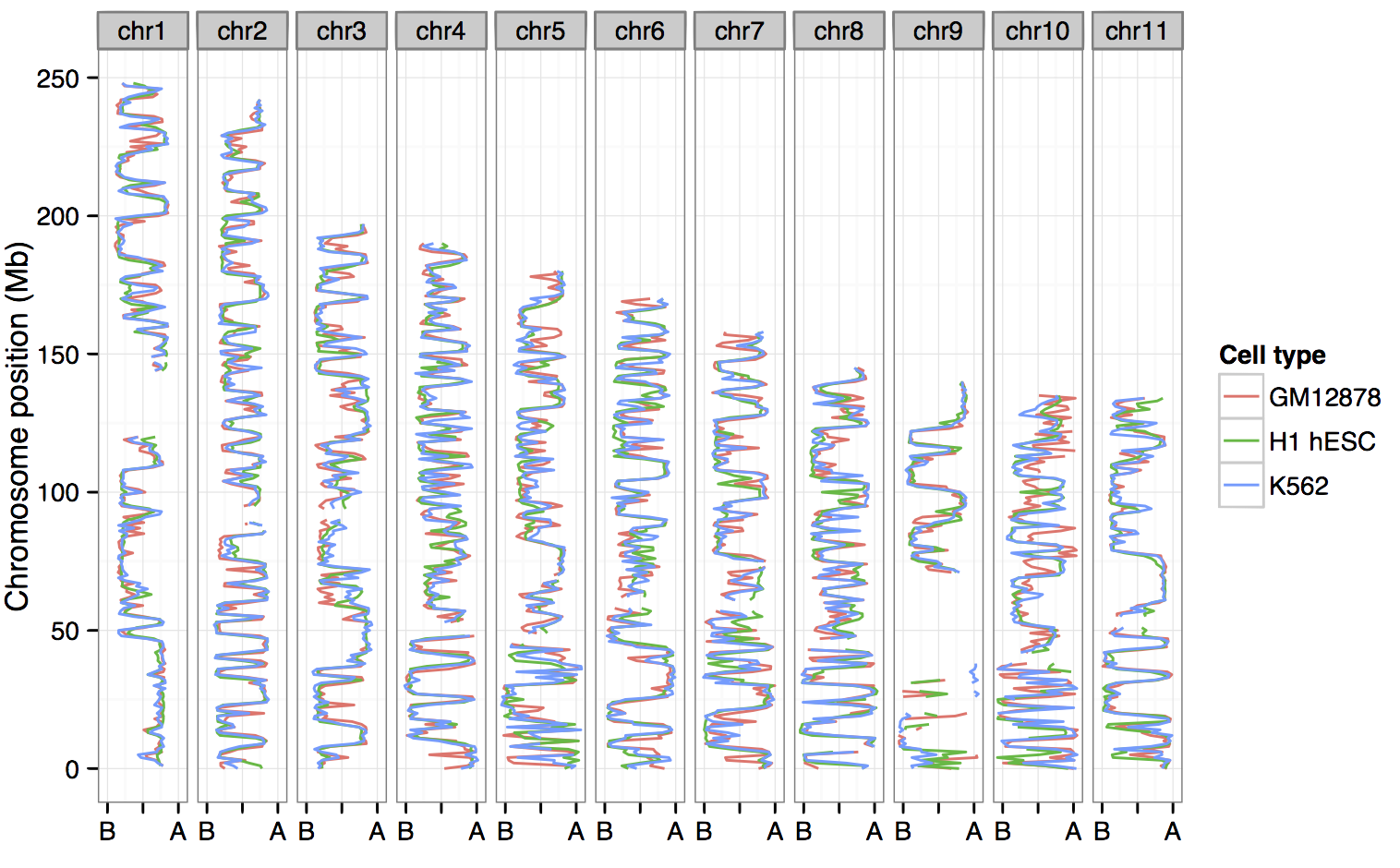 conserved chromatin structure