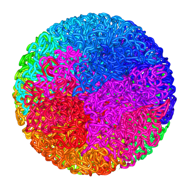 fractal globule